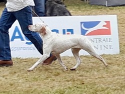 Championnat de France 2025