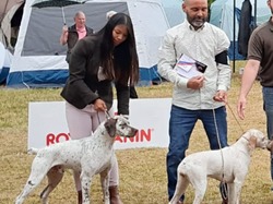 Championnat de France 2025