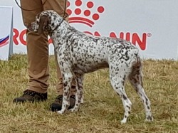 Championnat de France 2025