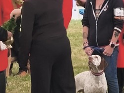 Championnat de France 2025