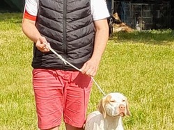 Championnat de France 2025