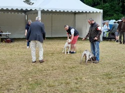 Championnat de France 2025