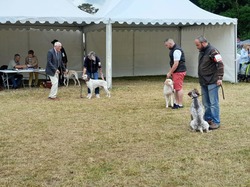 Championnat de France 2025