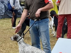 Championnat de France 2025