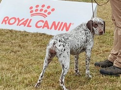 Championnat de France 2025