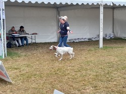 Championnat de France 2025