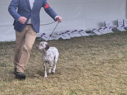 Championnat de France 2025