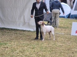 Championnat de France 2025