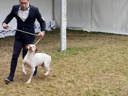 Championnat de France 2025