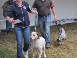 Championnat de France 2025