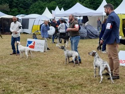 Championnat de France 2025