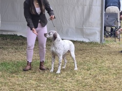 Championnat de France 2025