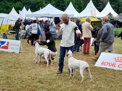 Championnat de France 2025