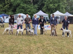 Championnat de France 2025