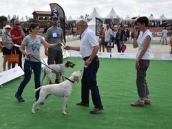 Nationale d'Elevage 2017