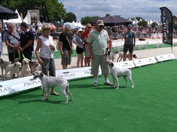 Nationale d'Elevage 2017