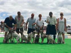 Nationale d'Elevage 2017