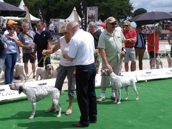 Nationale d'Elevage 2017