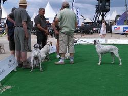 Nationale d'Elevage 2017