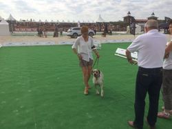 Nationale d'Elevage 2017