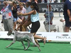 Nationale d'Elevage 2017