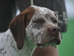 Nationale d'Elevage 2017