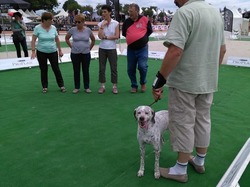 Nationale d'Elevage 2017