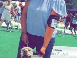 Nationale d'Elevage 2017