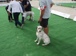 Nationale d'Elevage 2017