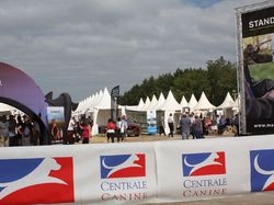 Nationale d'Elevage 2017