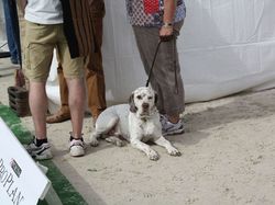 Nationale d'Elevage 2017