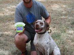 Nationale d'Elevage 2017