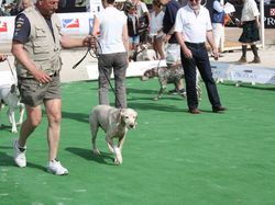 Nationale d'Elevage 2017