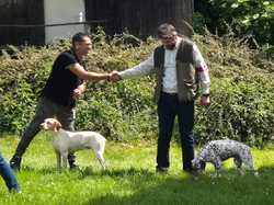 Nationale d'élevage 2025