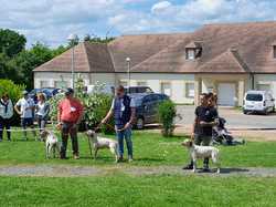 Nationale d'élevage 2025