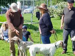 Nationale d'élevage 2025